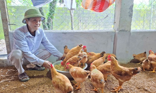 Thành phố Huế: Giám sát giữa kỳ hoạt động hỗ trợ sinh kế cho 15 hộ gia đình người khuyết tật